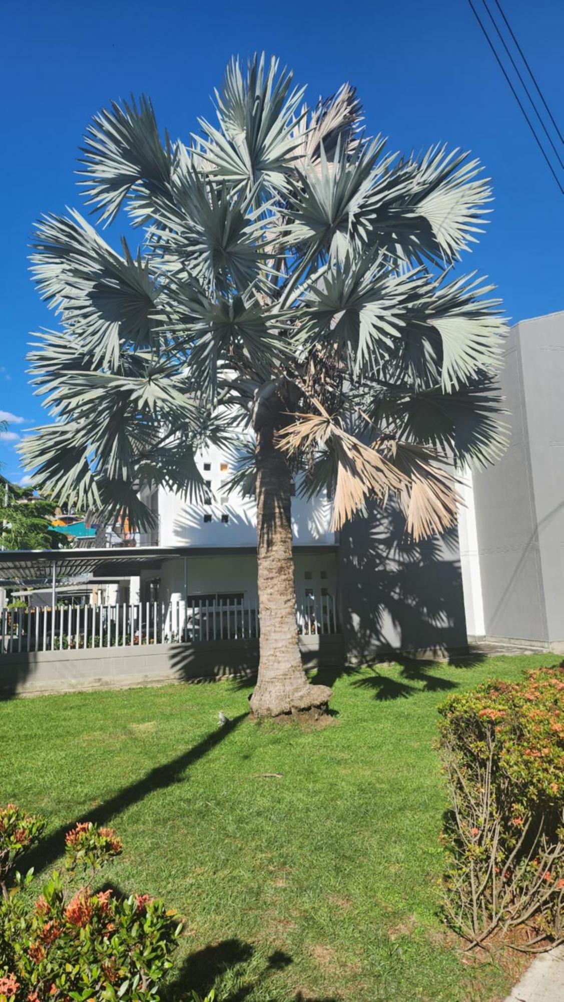 Apartasol Club Ciudadela Santa Fe - Santa Fe De Antioquia Esterno foto